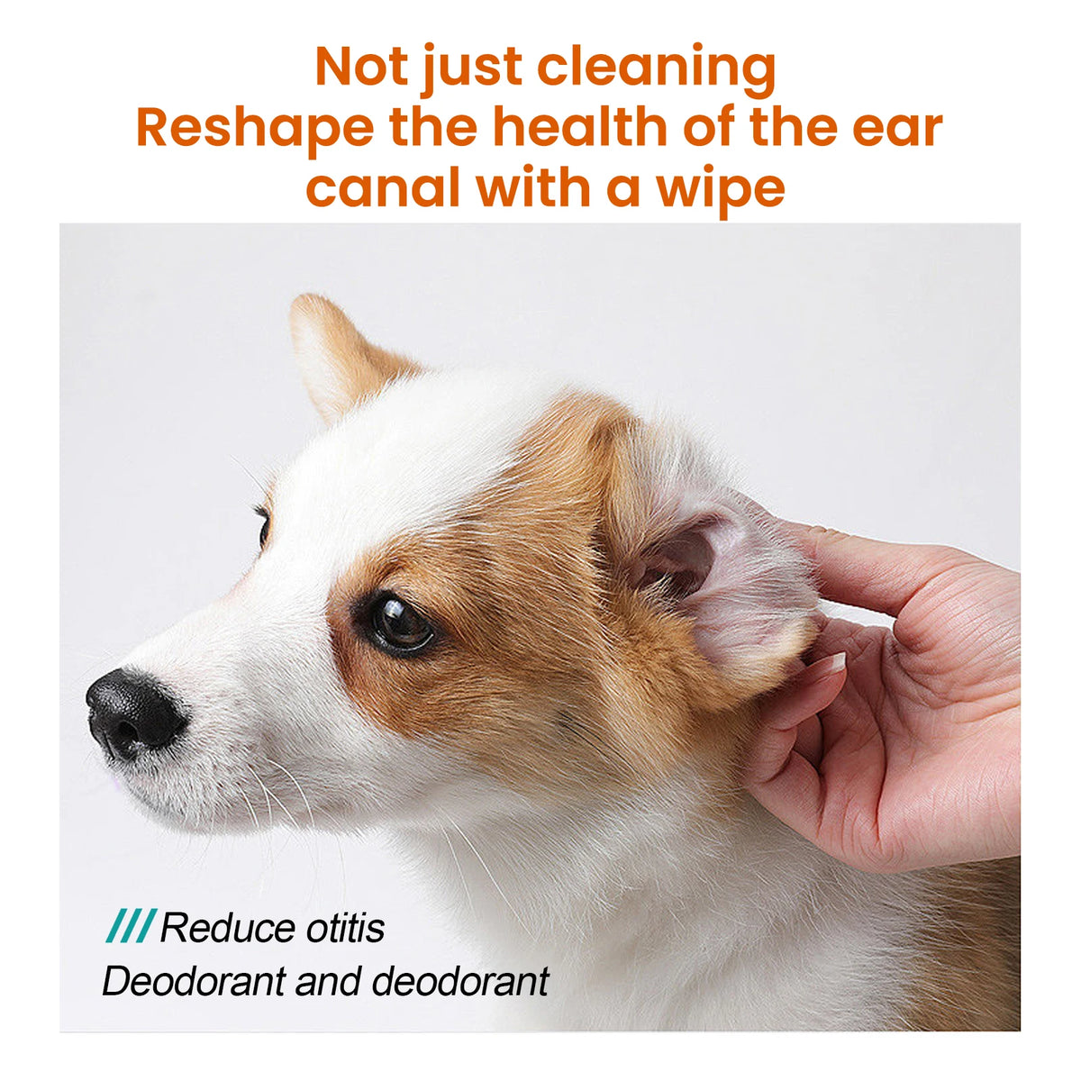 Yegbong Gentle Pet Ear Cleaning Wipes For Cats And Dogs