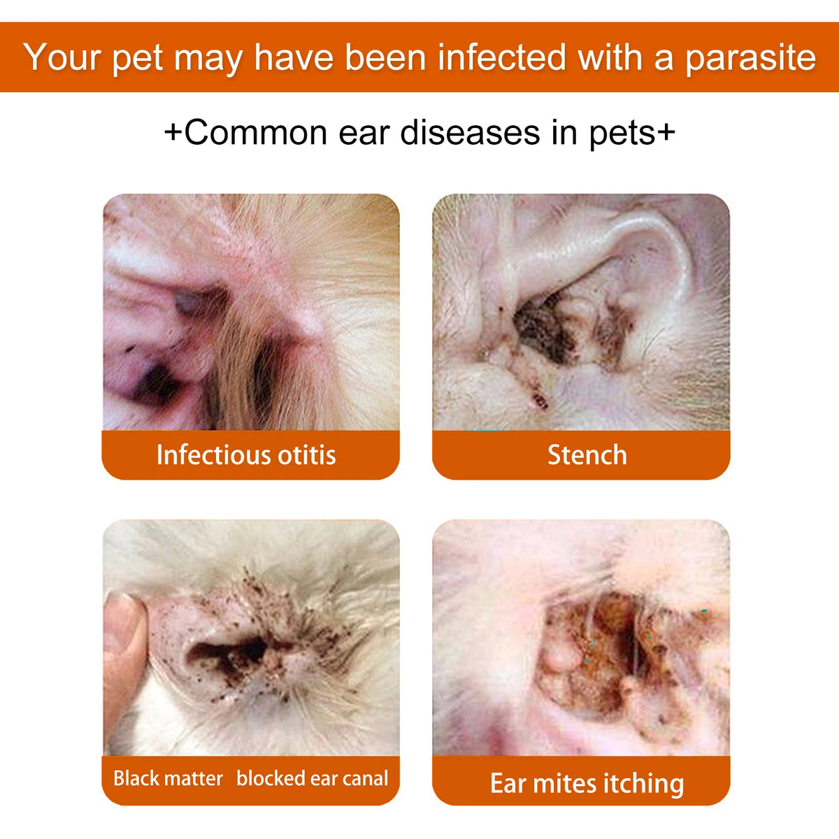 Yegbong Gentle Pet Ear Cleaning Wipes For Cats And Dogs