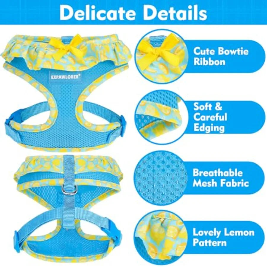 Adjustable Step In Dog Harness Collar And Leash Set