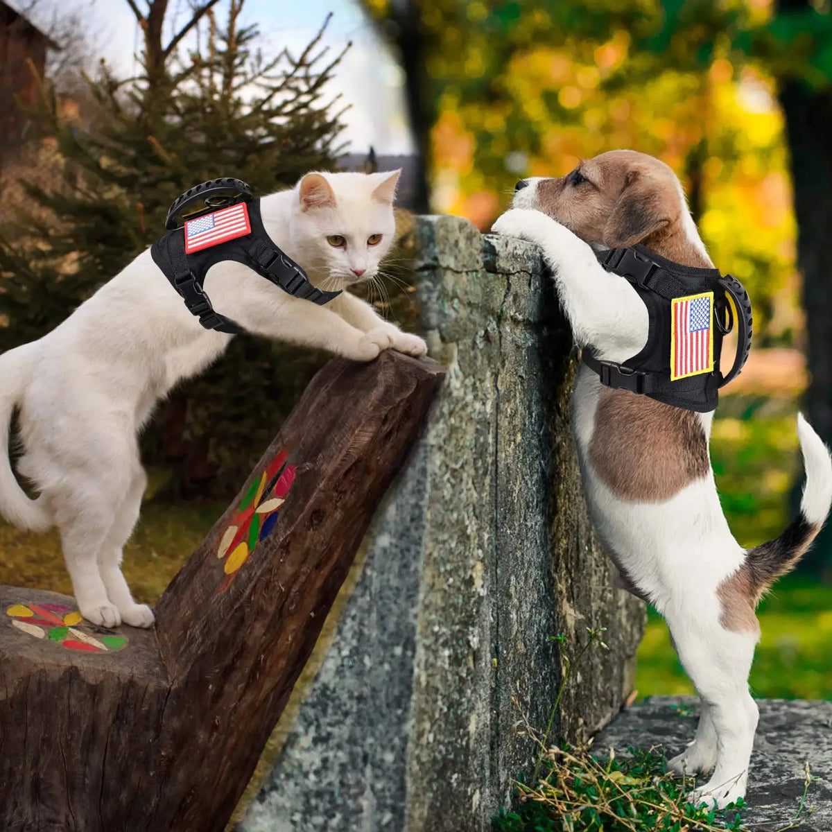 PetraVel Tactical Dog Harness Leash Set With Quick Release Buckle