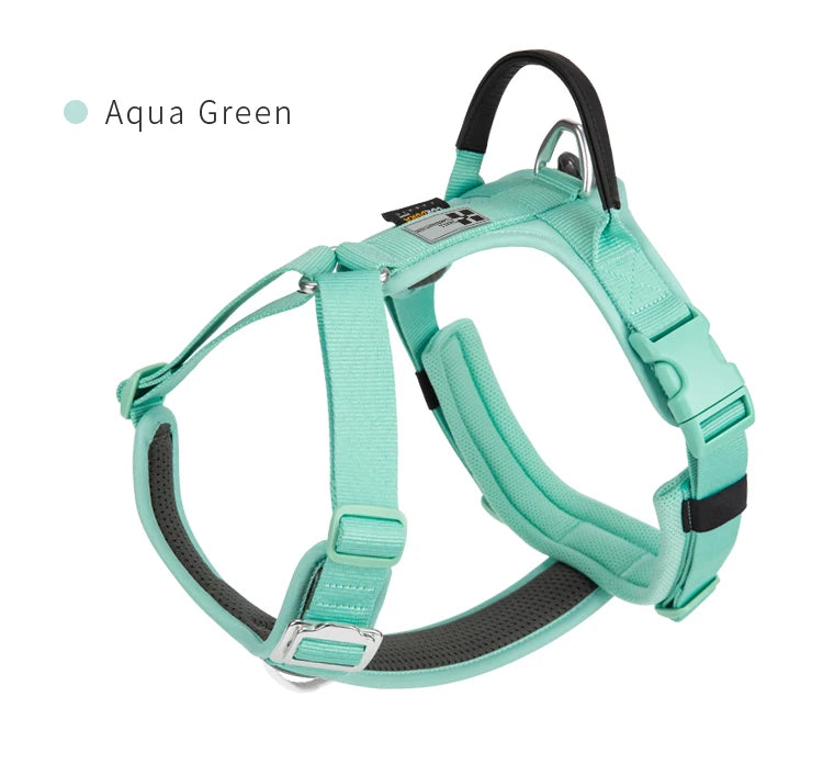 SMALL COMBINATION Reflective No Pull Dog Harness and Leash Set