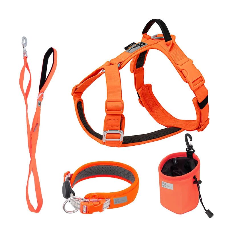 SMALL COMBINATION Reflective No Pull Dog Harness and Leash Set