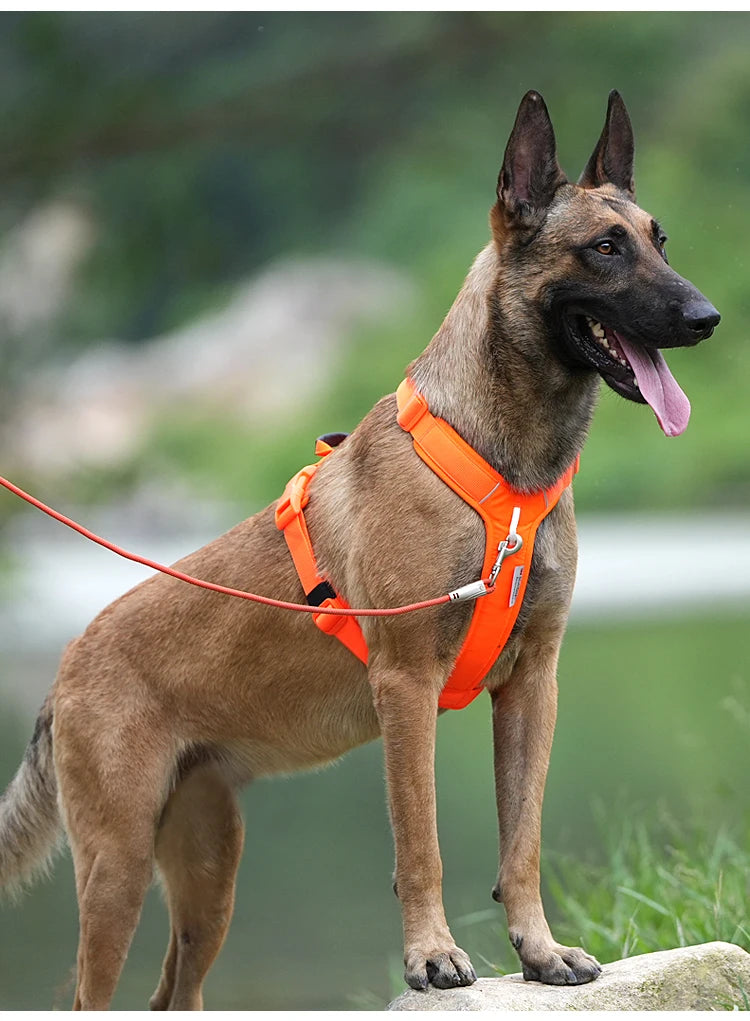 SMALL COMBINATION Reflective No Pull Dog Harness and Leash Set