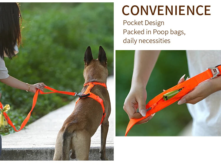 SMALL COMBINATION Reflective No Pull Dog Harness and Leash Set