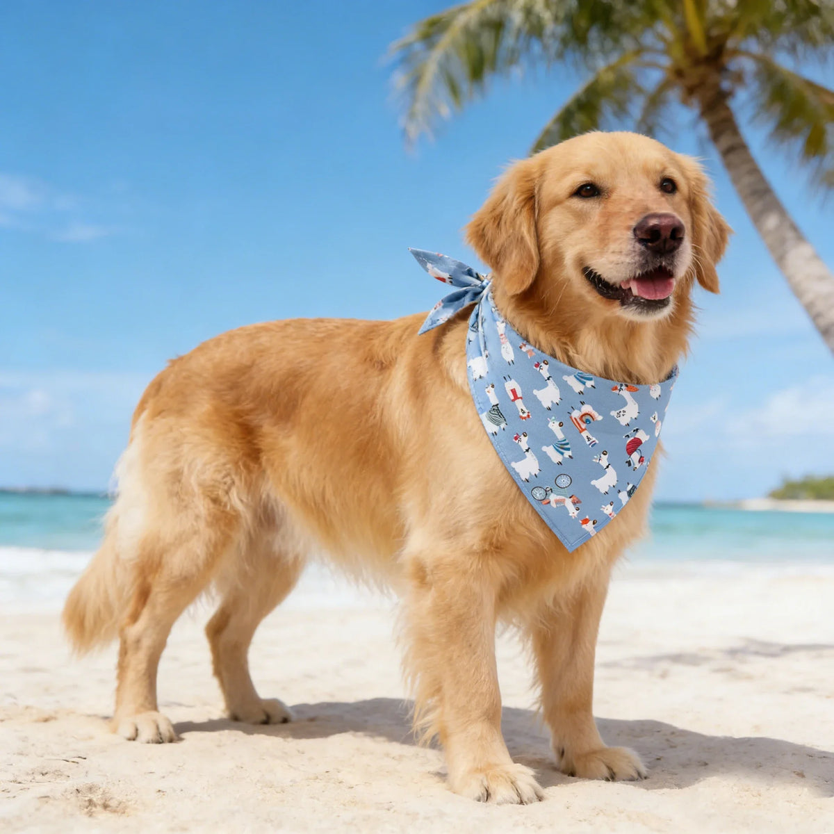 Washable Fruit Floral Dog Bandana Soft Adjustable Pet Scarf