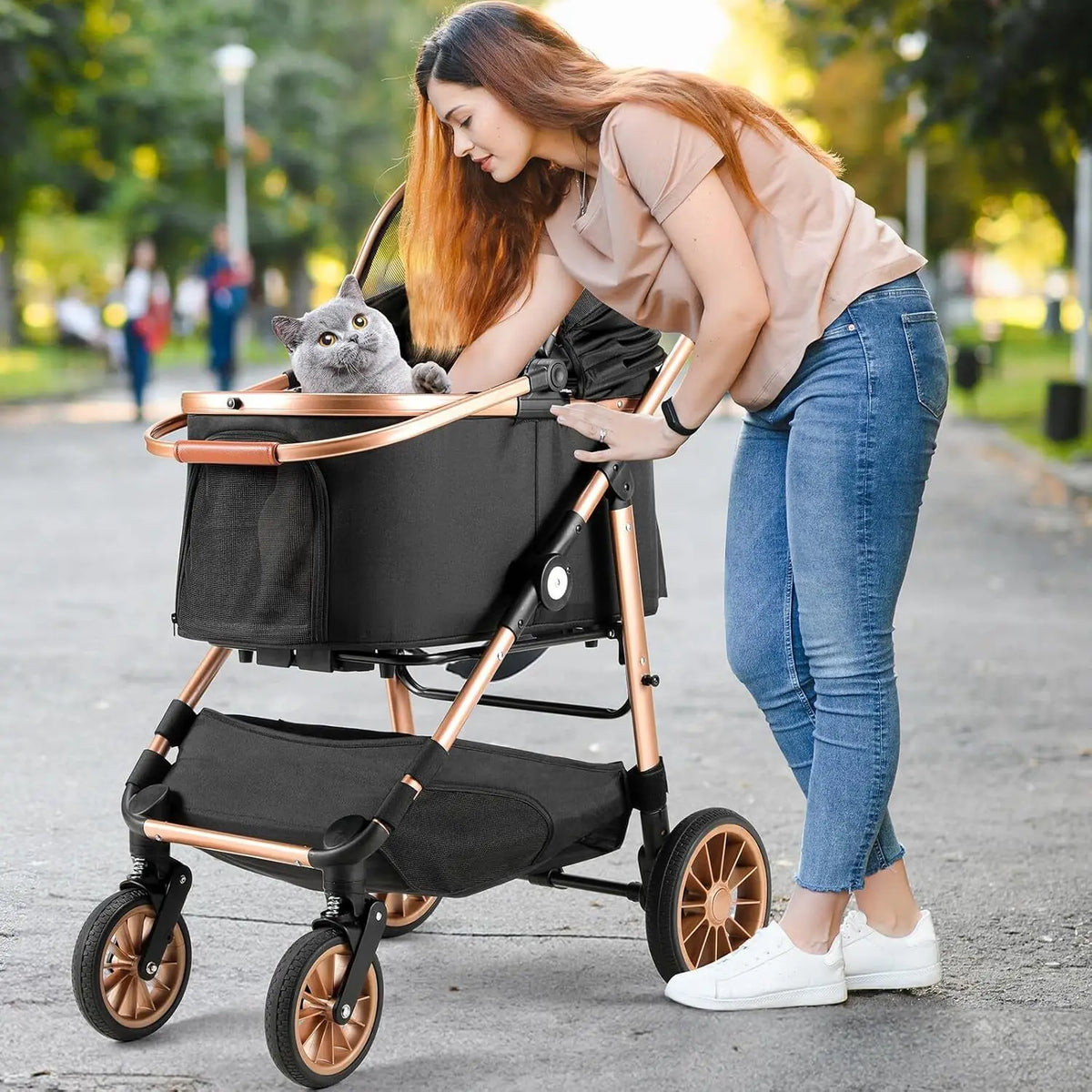 All Terrain Pet Stroller With Detachable Carrier And Folding Design