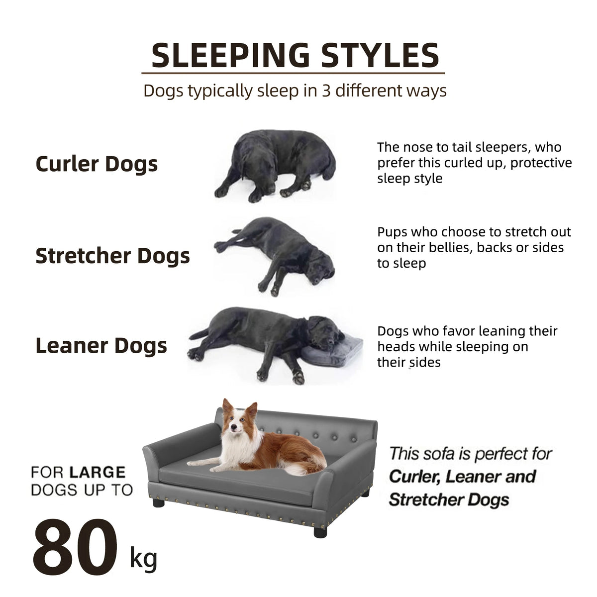 BINGOPAW Elevated Dog Sofa With Microfiber Leather Cover Removable Cushion