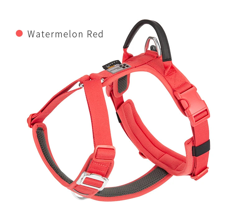 SMALL COMBINATION Reflective No Pull Dog Harness and Leash Set