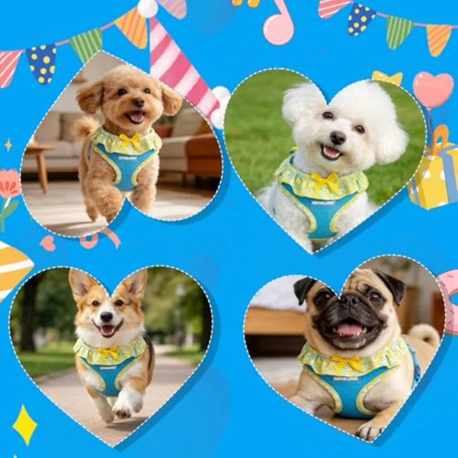 Adjustable Step In Dog Harness Collar And Leash Set