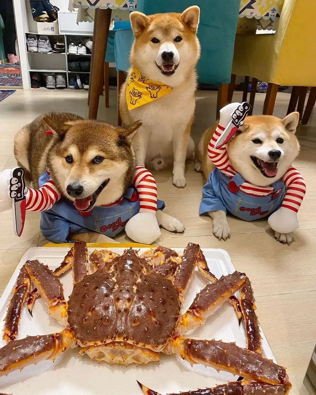 Holapet Halloween Chucky Pet Costume For Dogs And Cats