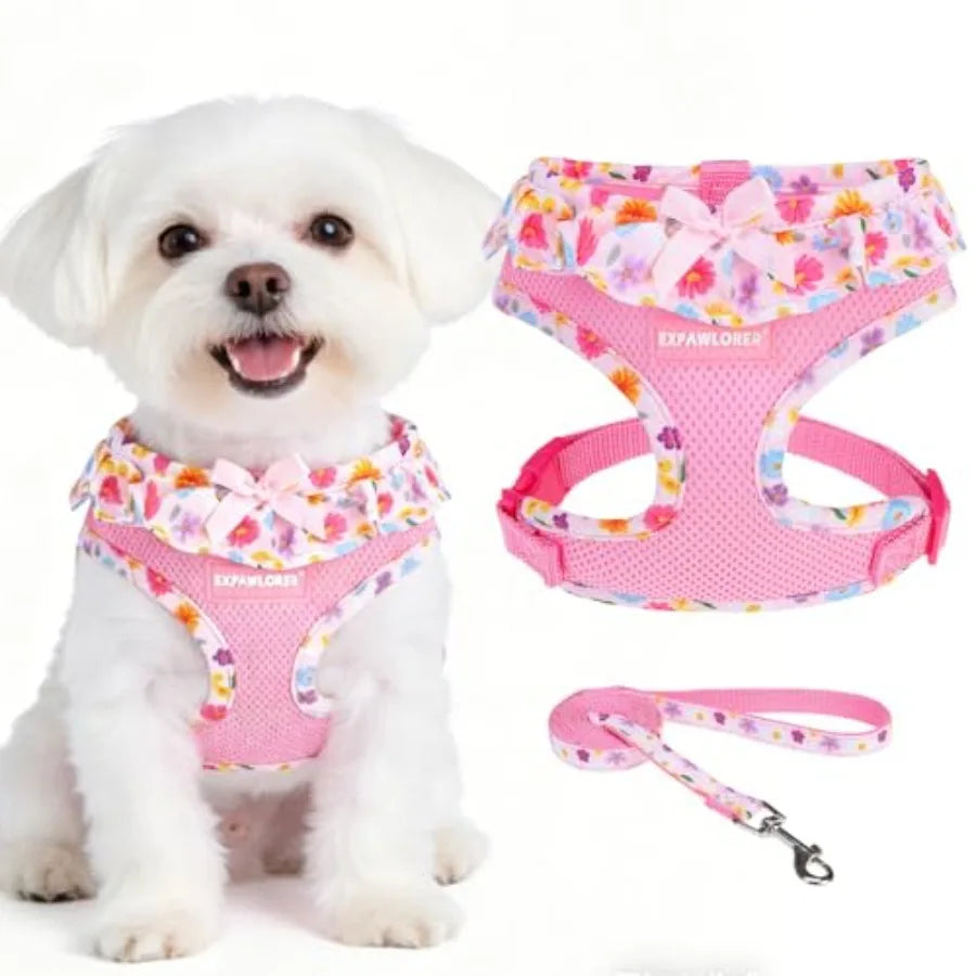 Adjustable Step In Dog Harness Collar And Leash Set
