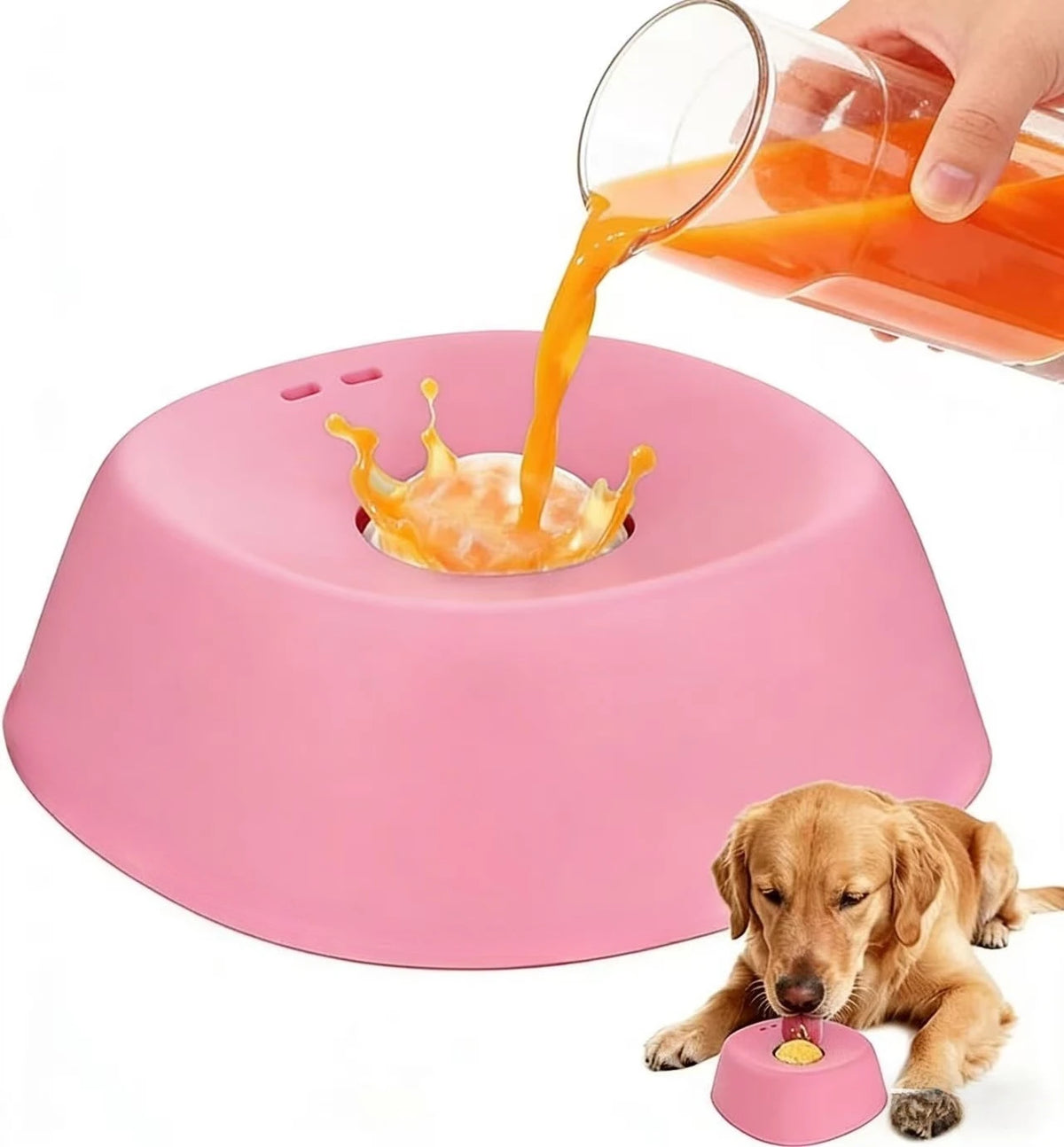 Slow Feeder Dog Bowl Prevents Choking With Non Slip Base