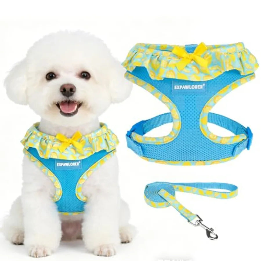 Adjustable Step In Dog Harness Collar And Leash Set