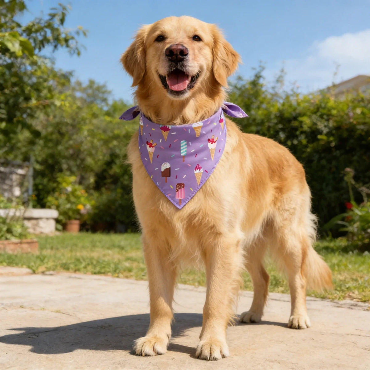 Washable Fruit Floral Dog Bandana Soft Adjustable Pet Scarf