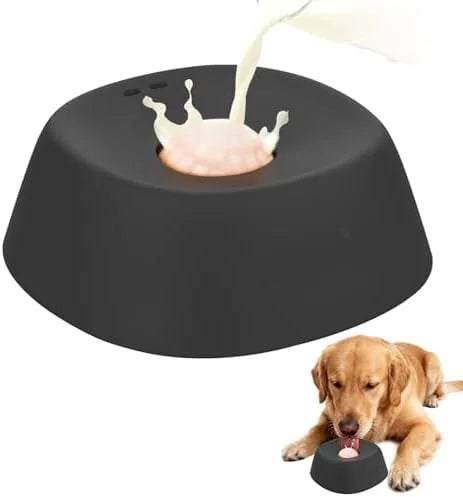 Slow Feeder Dog Bowl Prevents Choking With Non Slip Base