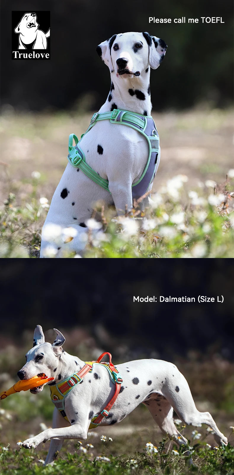 Truelove Reflective No Pull Dog Harness for Training and Walking