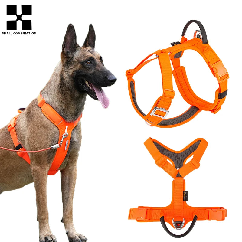 SMALL COMBINATION Reflective No Pull Dog Harness and Leash Set