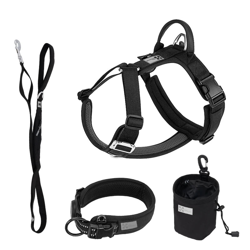 SMALL COMBINATION Reflective No Pull Dog Harness and Leash Set