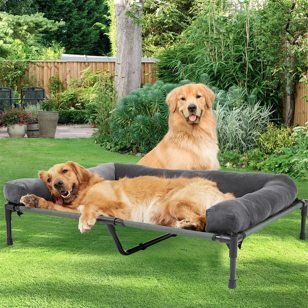 Bingopaw Elevated Cooling Dog Mesh Cot With Detachable Plush Bolster