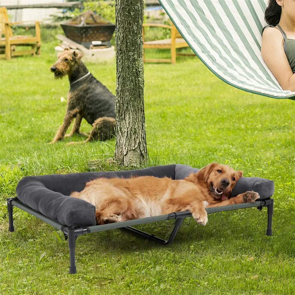Bingopaw Elevated Cooling Dog Mesh Cot With Detachable Plush Bolster
