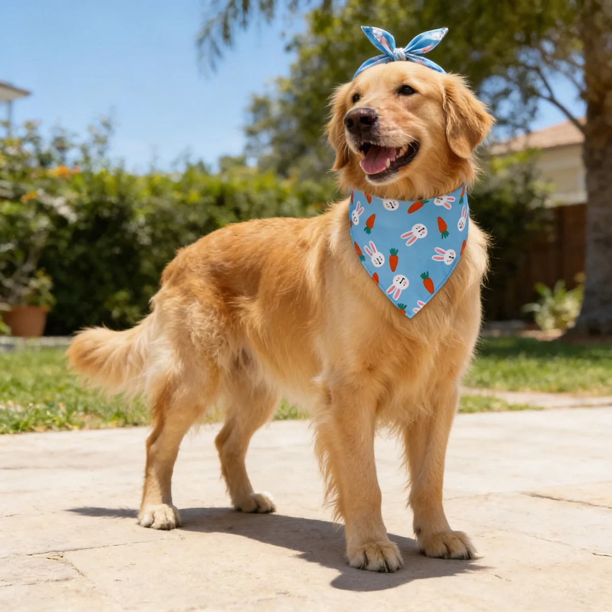 Washable Fruit Floral Dog Bandana Soft Adjustable Pet Scarf