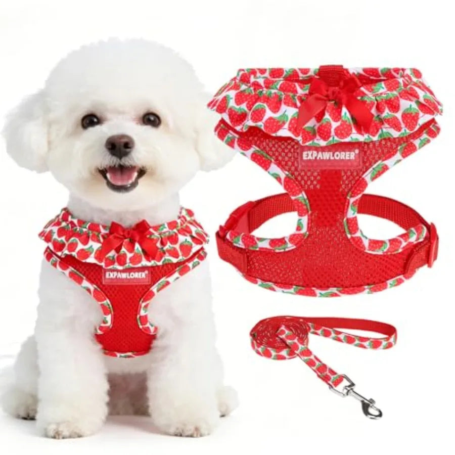 Adjustable Step In Dog Harness Collar And Leash Set