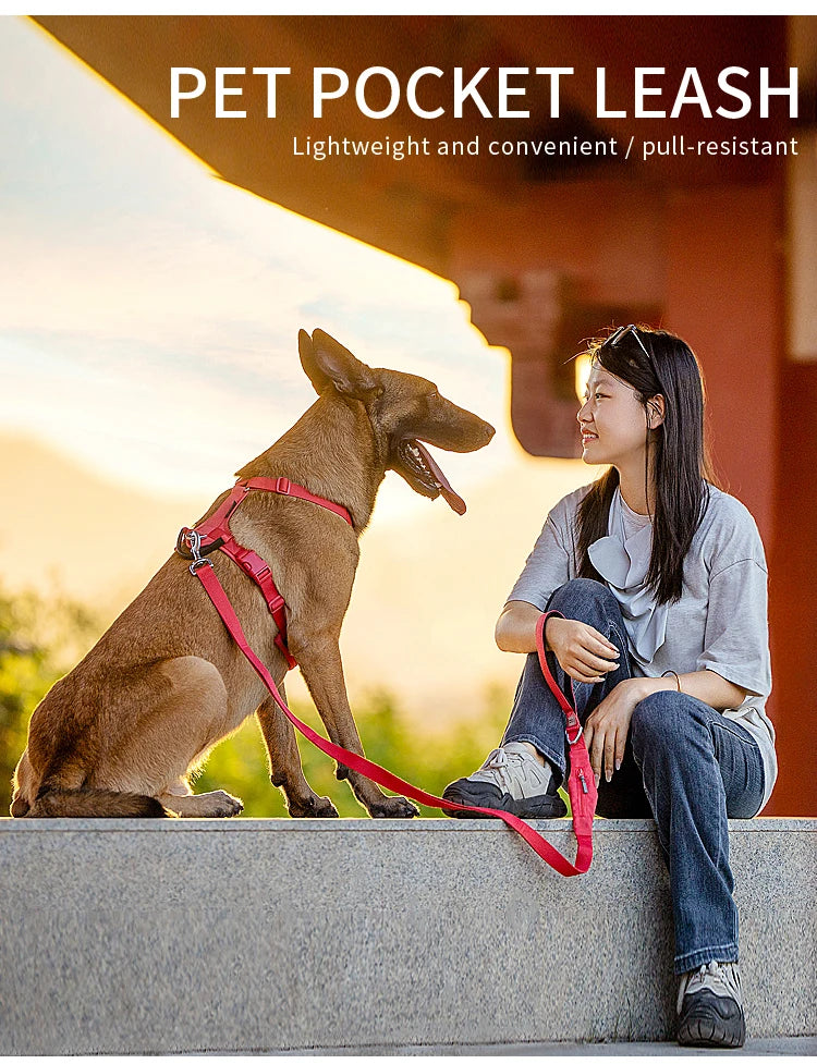 SMALL COMBINATION Reflective No Pull Dog Harness and Leash Set