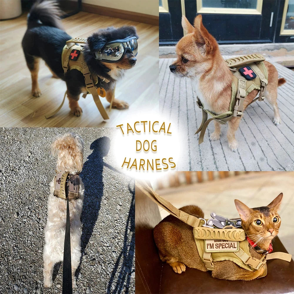 PetraVel Tactical Dog Harness Leash Set With Quick Release Buckle