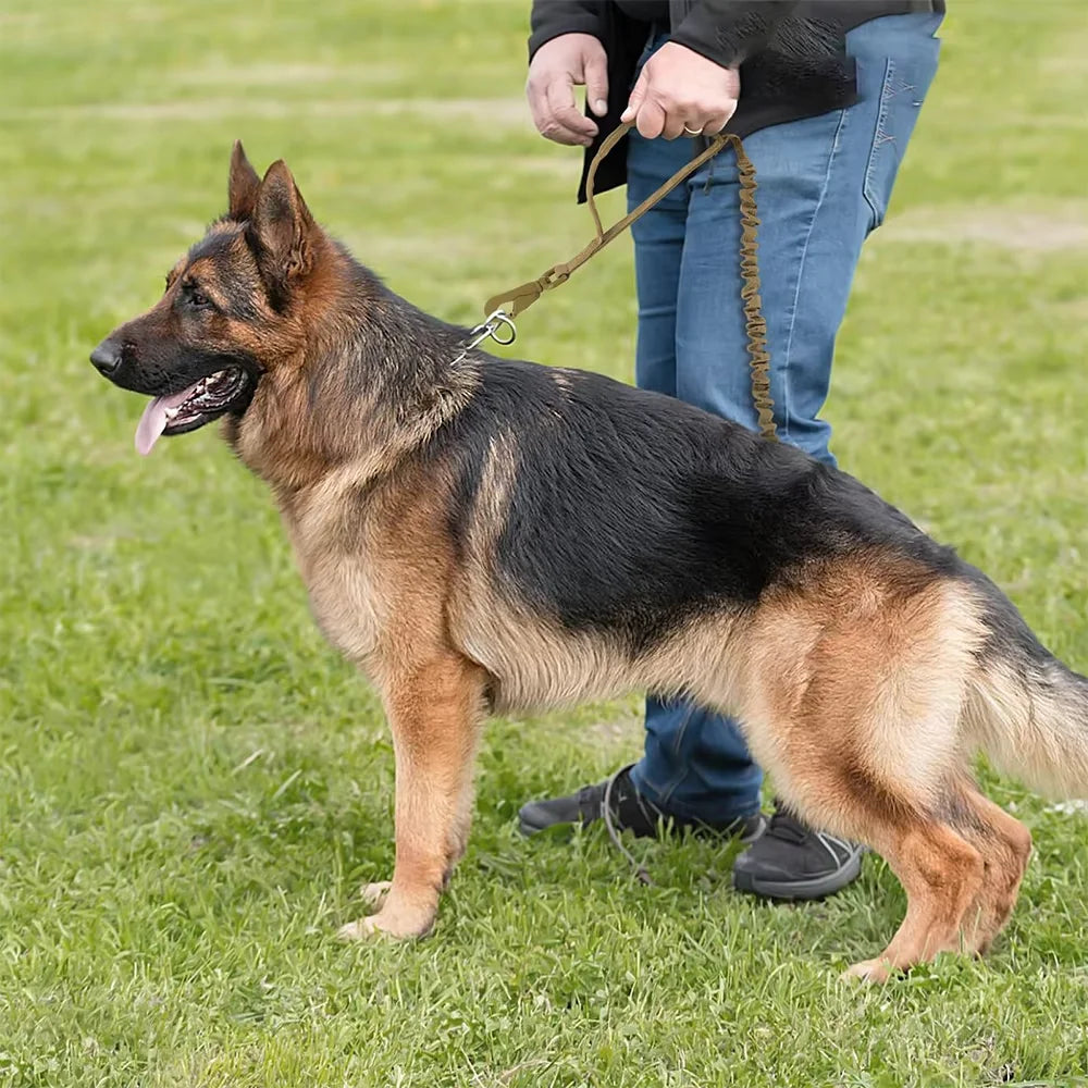 PETRAVEL Adjustable Military Dog Leash With Quick Release Control Handles