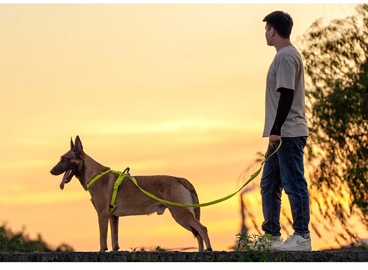 SMALL COMBINATION Reflective No Pull Dog Harness and Leash Set