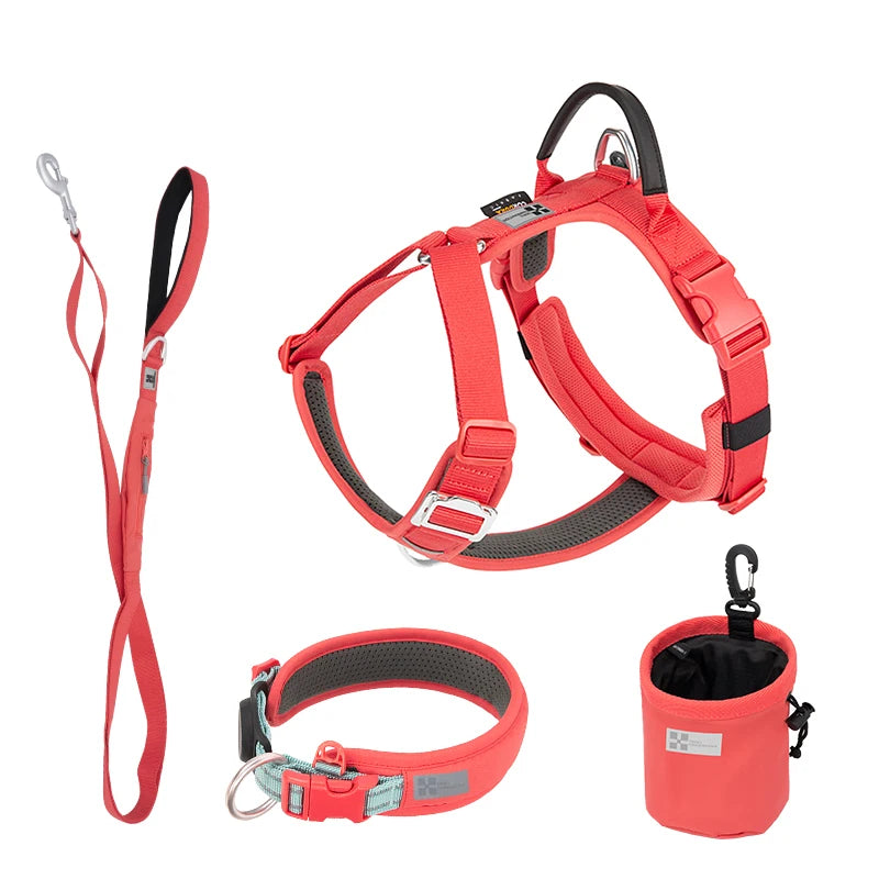 SMALL COMBINATION Reflective No Pull Dog Harness and Leash Set
