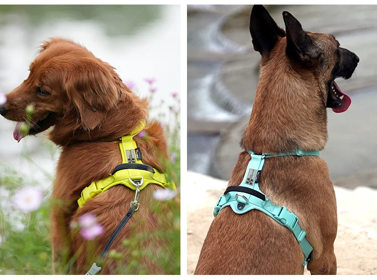 SMALL COMBINATION Reflective No Pull Dog Harness and Leash Set