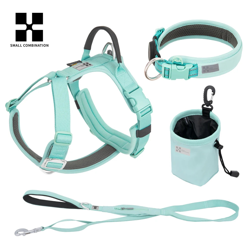 SMALL COMBINATION Reflective No Pull Dog Harness and Leash Set