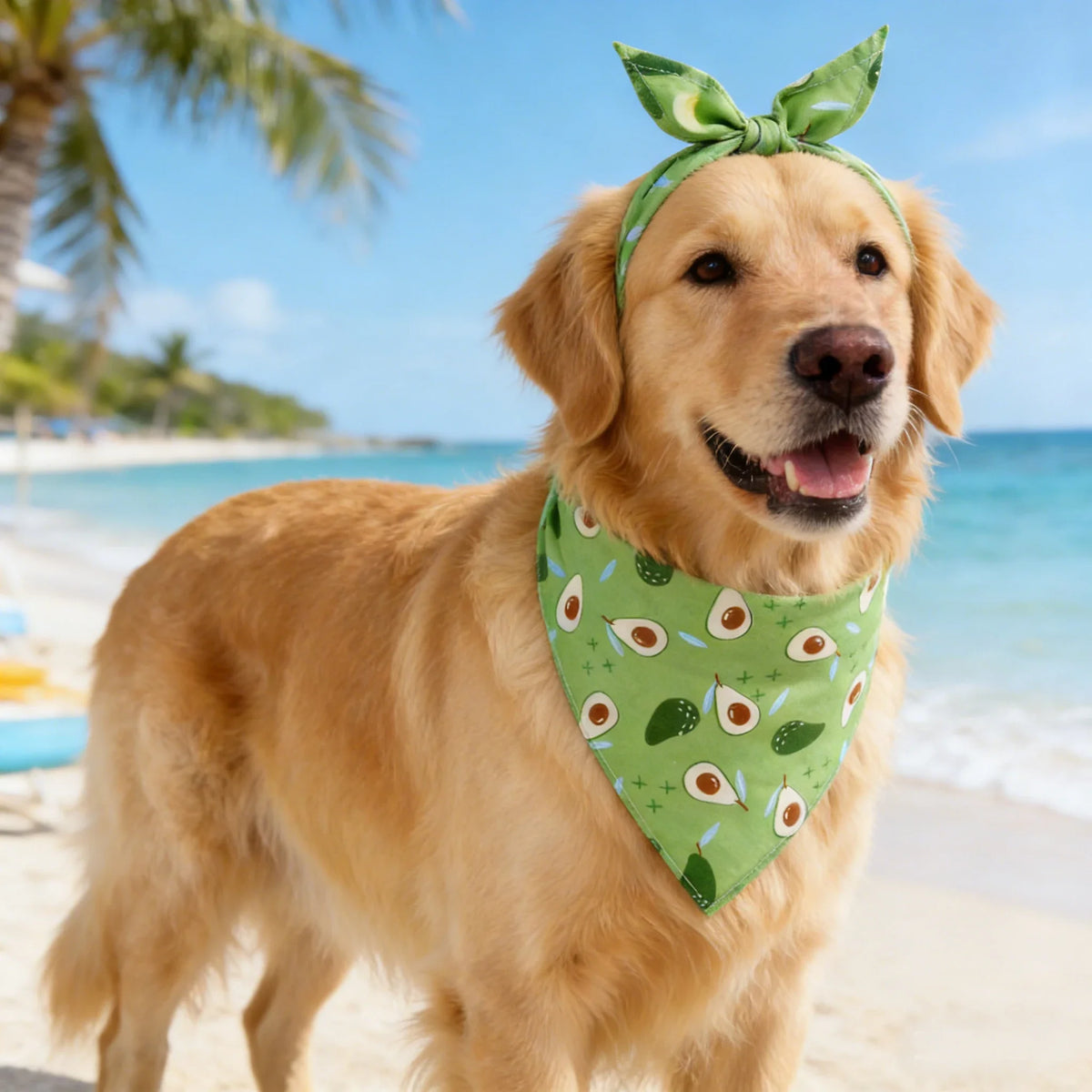 Washable Fruit Floral Dog Bandana Soft Adjustable Pet Scarf