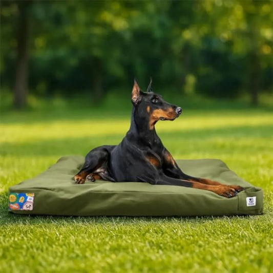 Indestructible Canvas Dog Bed Waterproof Chew Resistant Pet Mat