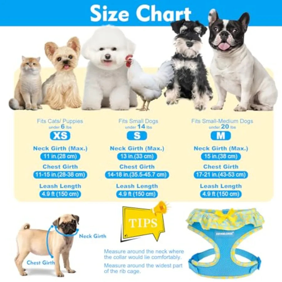 Adjustable Step In Dog Harness Collar And Leash Set