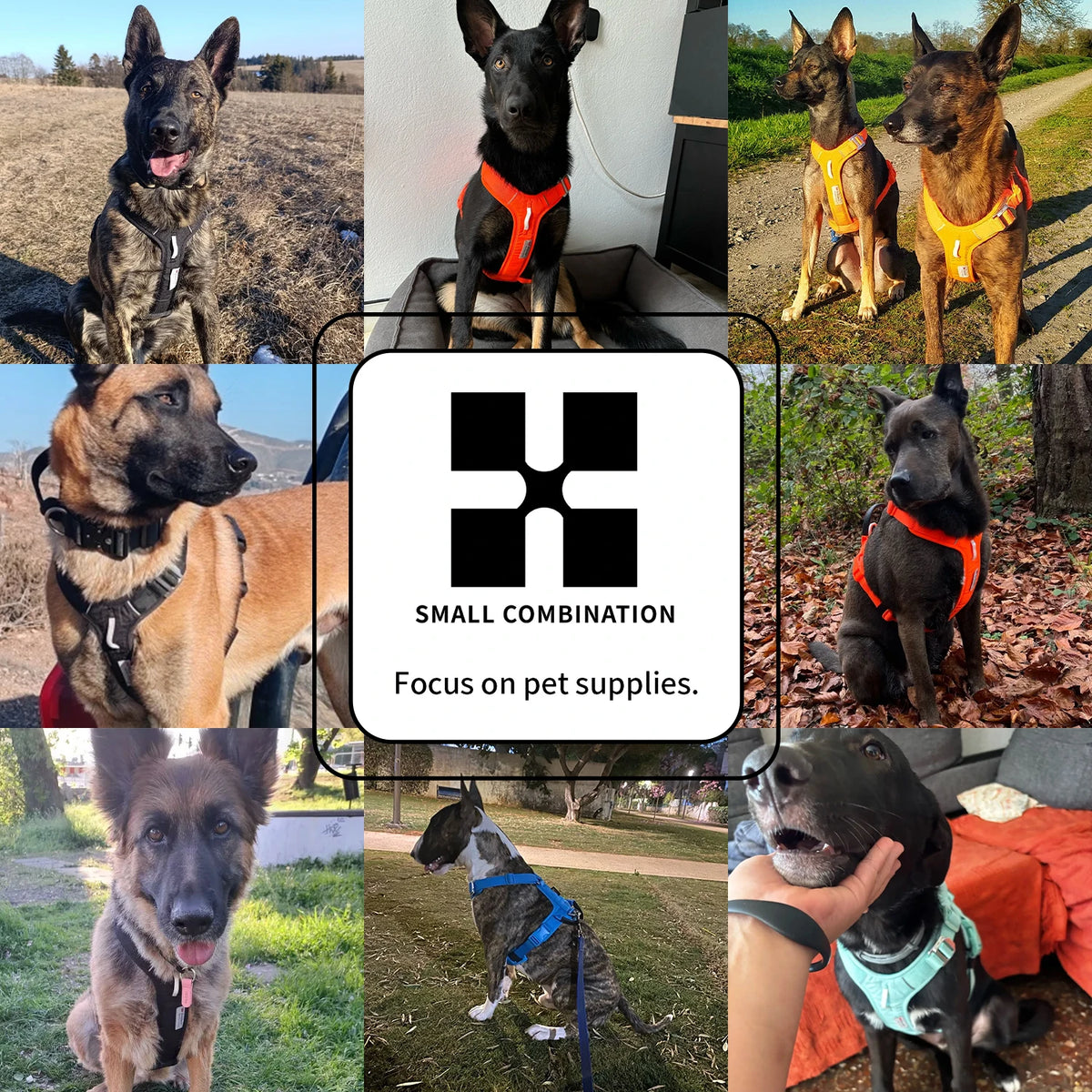 Small Combination Adjustable No Pull Nylon Reflective Dog Harness