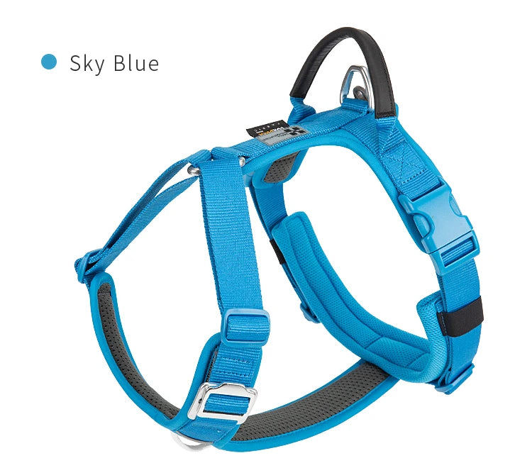 SMALL COMBINATION Reflective No Pull Dog Harness and Leash Set