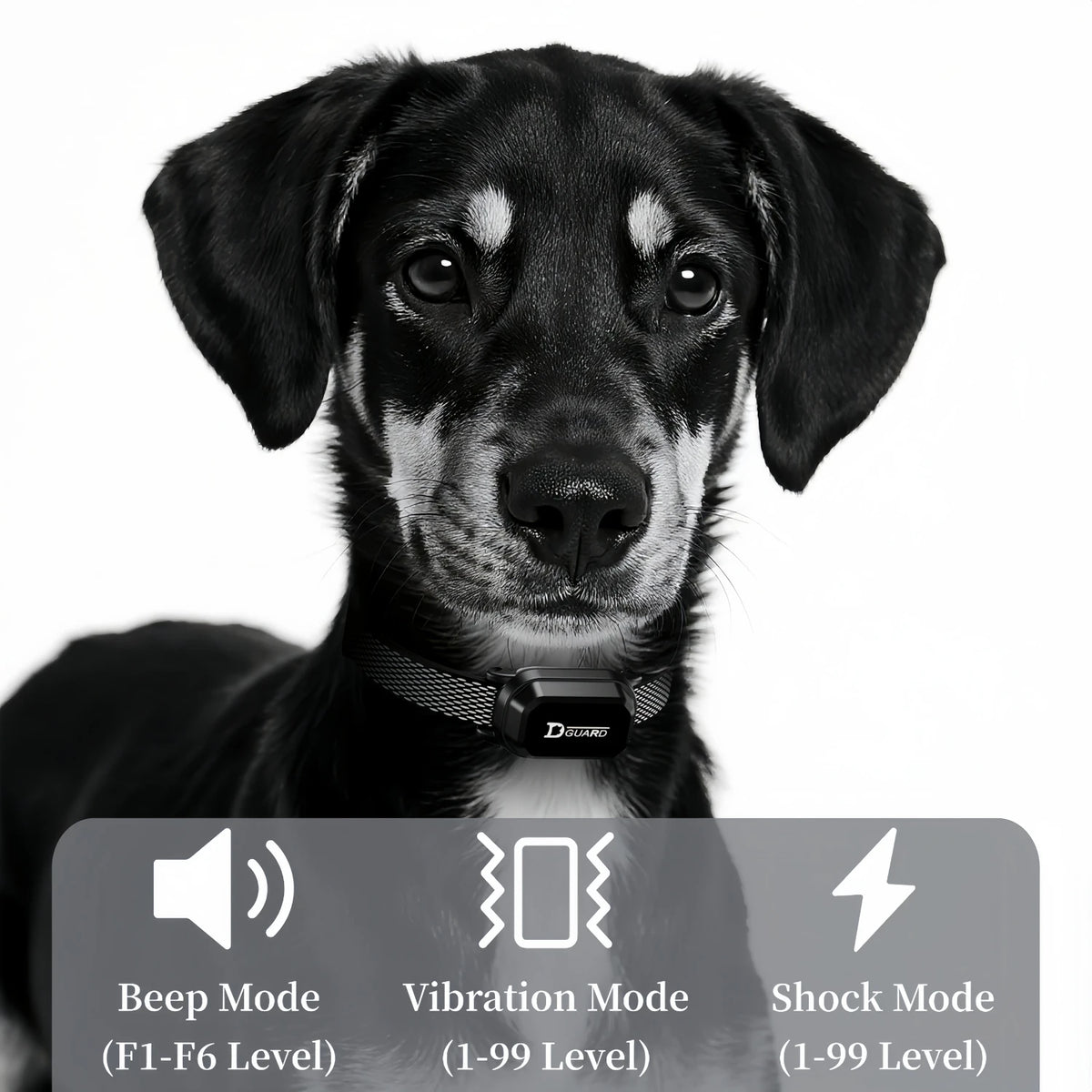 YHLC Electric Dog Training Collar Remote Control Waterproof Shock Vibration