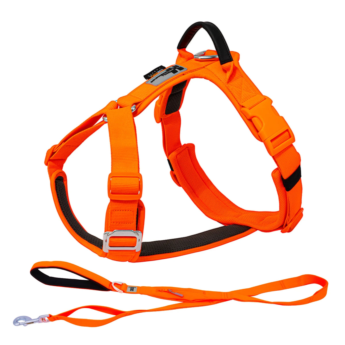 SMALL COMBINATION Reflective No Pull Dog Harness and Leash Set