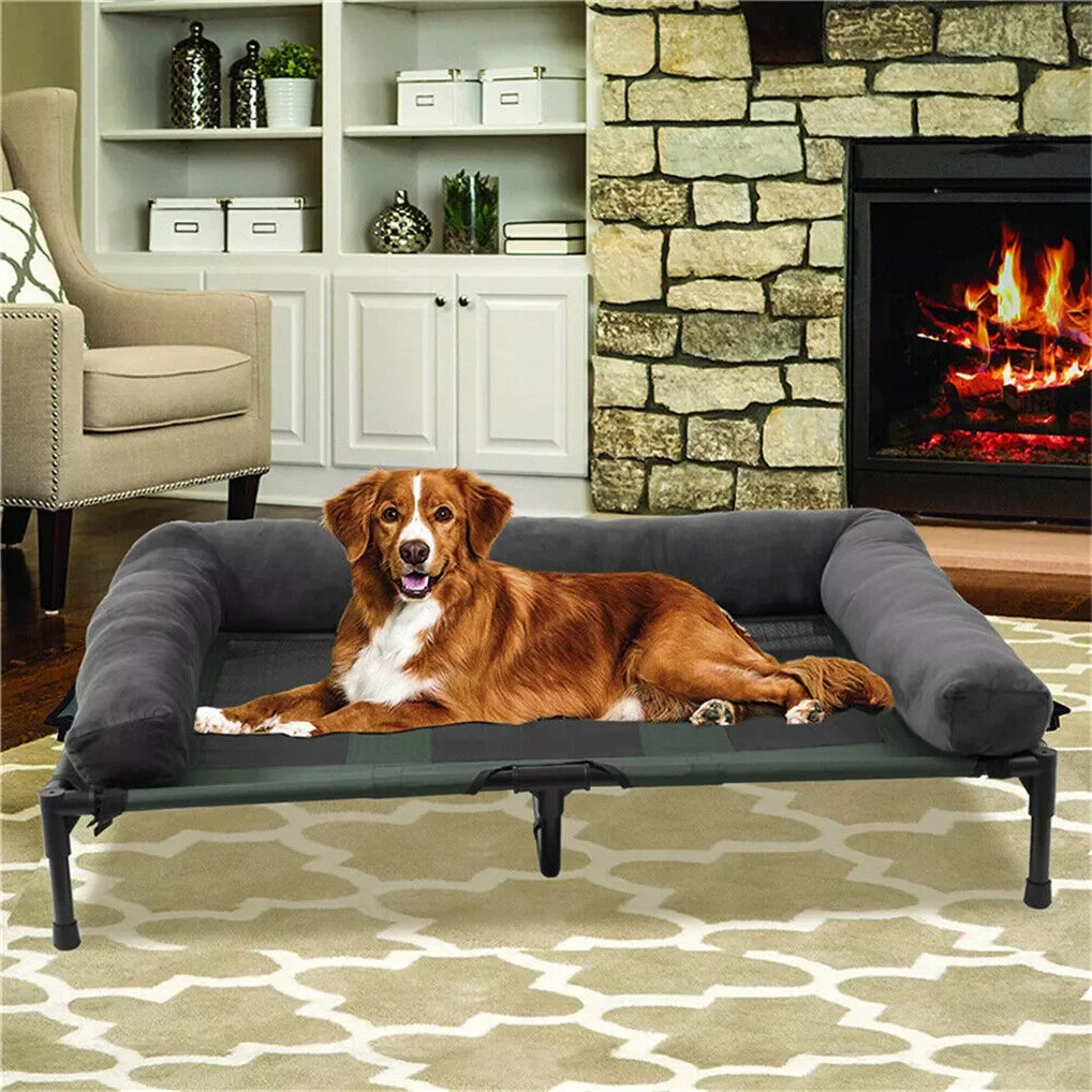 Bingopaw Elevated Cooling Dog Mesh Cot With Detachable Plush Bolster
