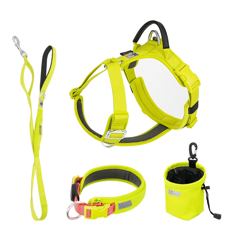 SMALL COMBINATION Reflective No Pull Dog Harness and Leash Set