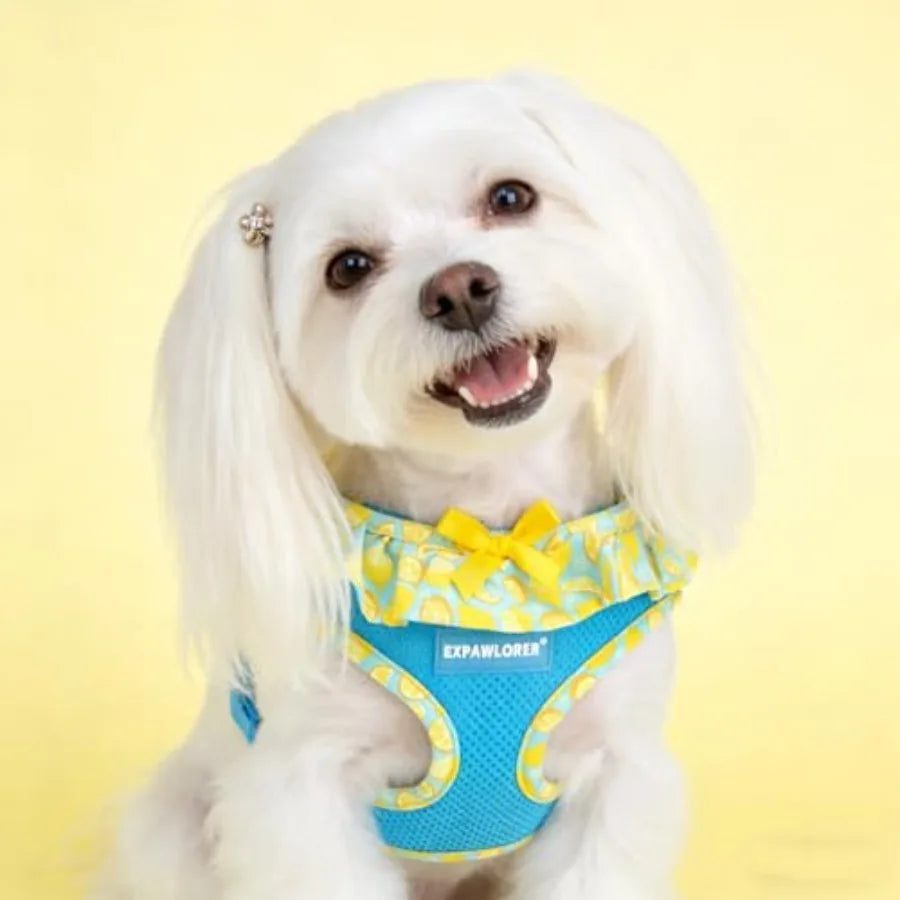 Adjustable Step In Dog Harness Collar And Leash Set