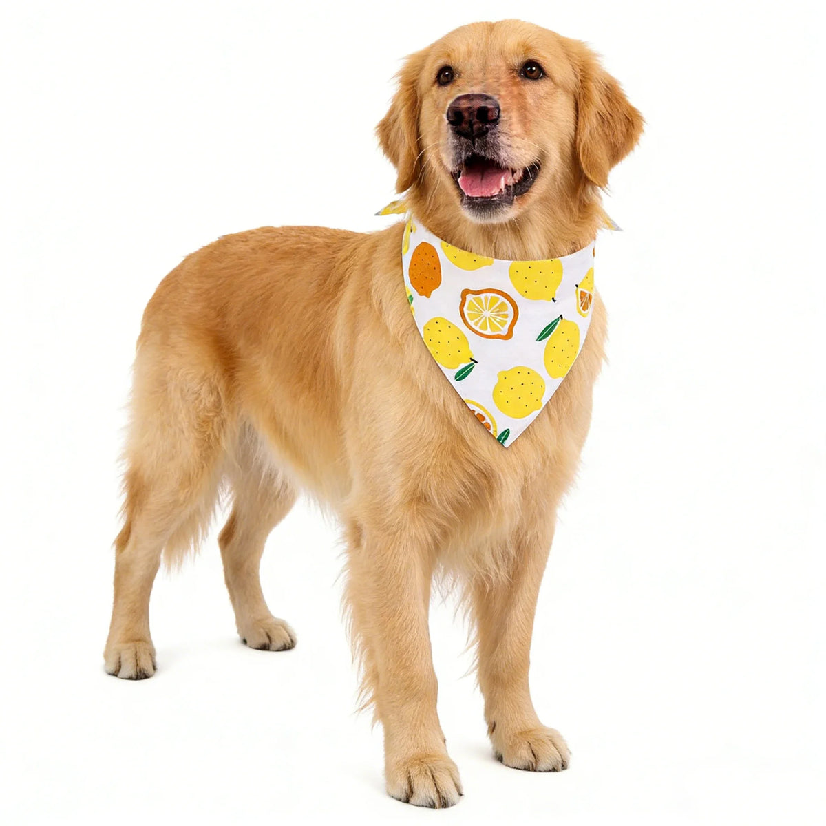 Washable Fruit Floral Dog Bandana Soft Adjustable Pet Scarf