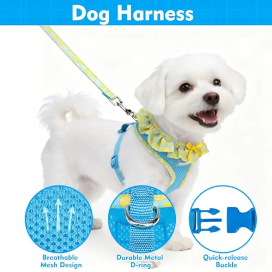Adjustable Step In Dog Harness Collar And Leash Set