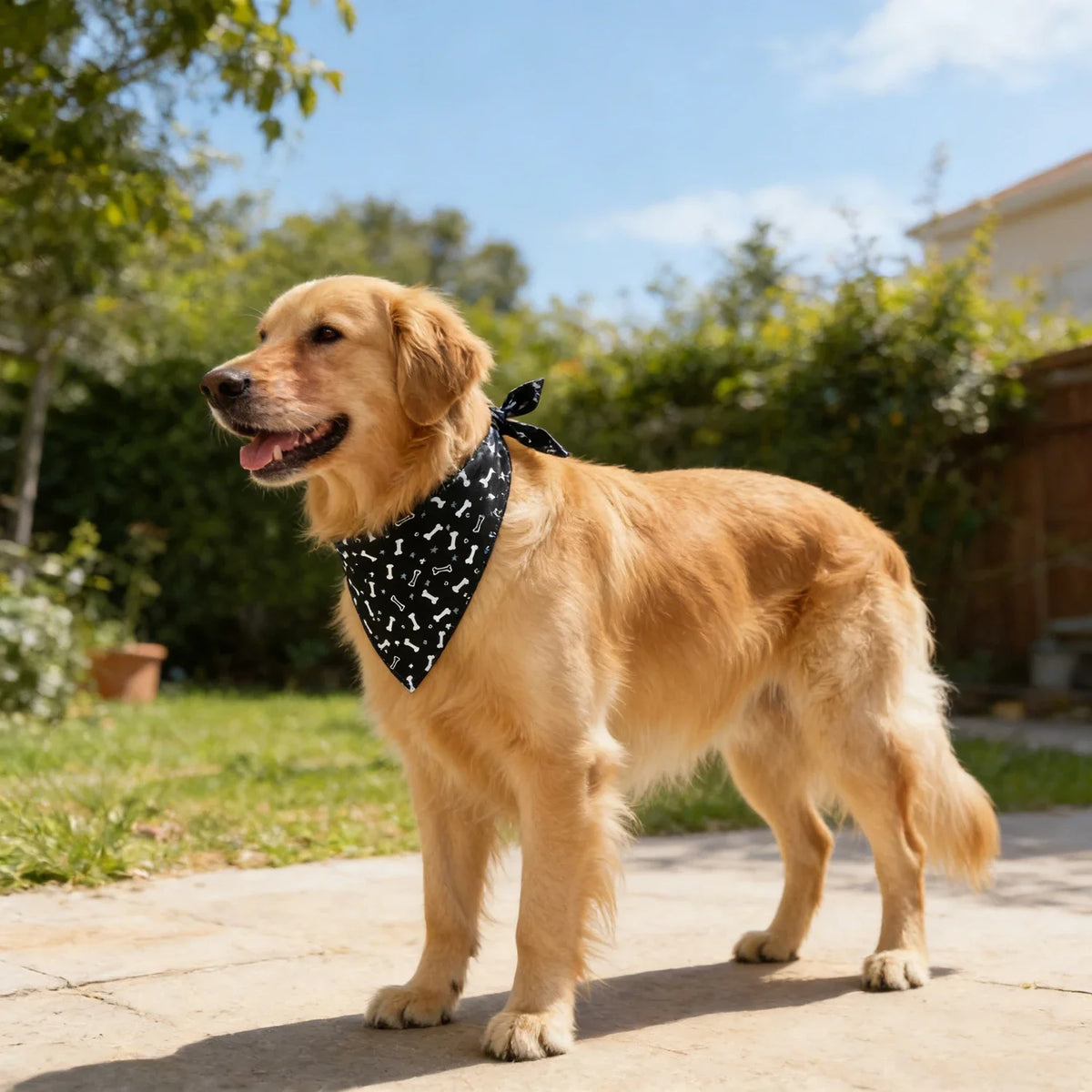 Washable Fruit Floral Dog Bandana Soft Adjustable Pet Scarf