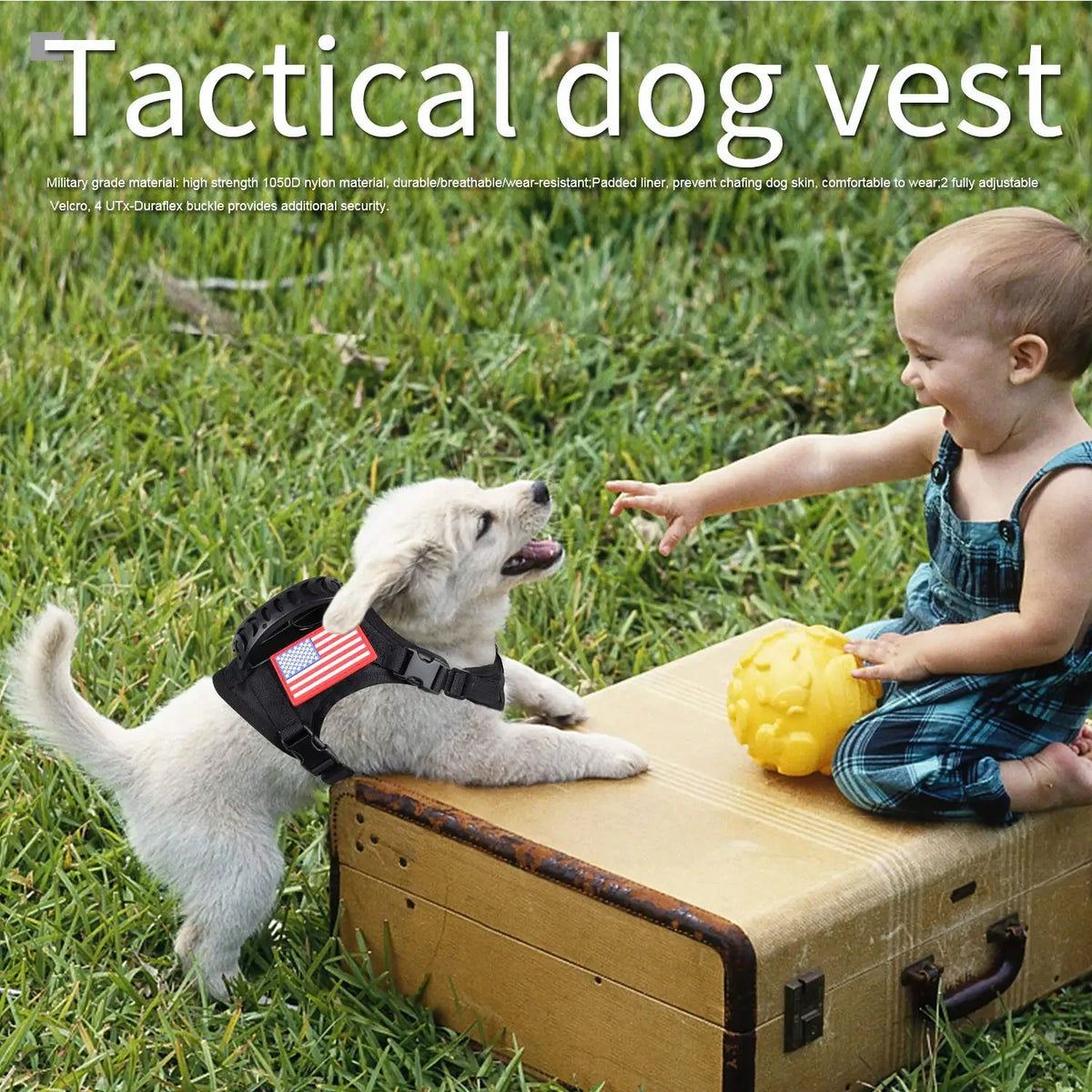 PetraVel Tactical Dog Harness Leash Set With Quick Release Buckle