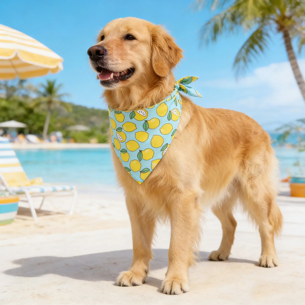 Washable Fruit Floral Dog Bandana Soft Adjustable Pet Scarf