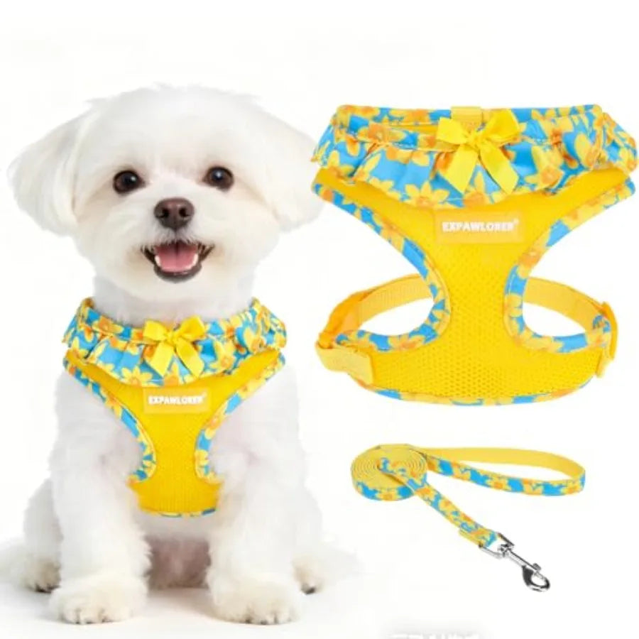 Adjustable Step In Dog Harness Collar And Leash Set