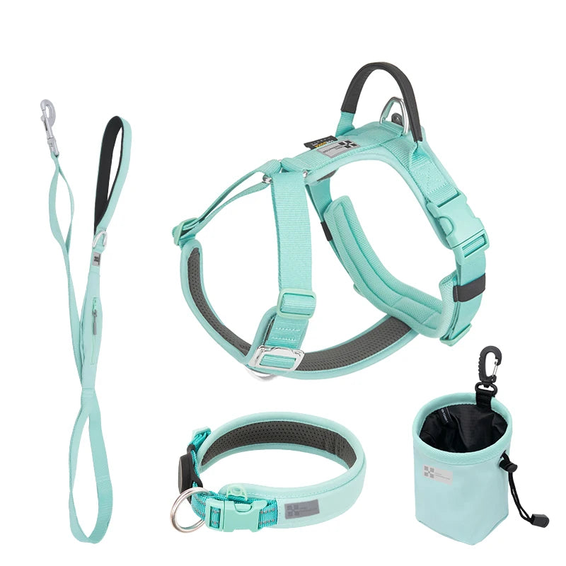SMALL COMBINATION Reflective No Pull Dog Harness and Leash Set
